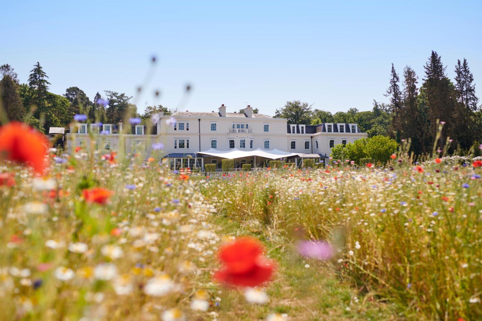 Coworth Park - Dorchester Collection Ascot  Luaran gambar